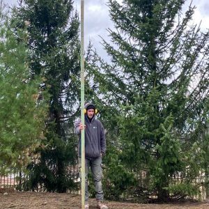 Select where you want trees to be planted on your property.