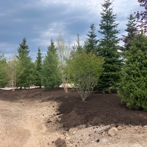 Select where you want trees to be planted on your property.
